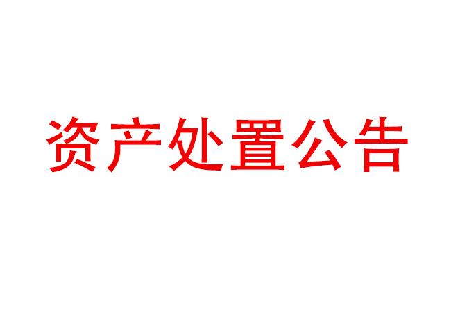 閑置設(shè)備資產(chǎn)處置公告（2023-18)